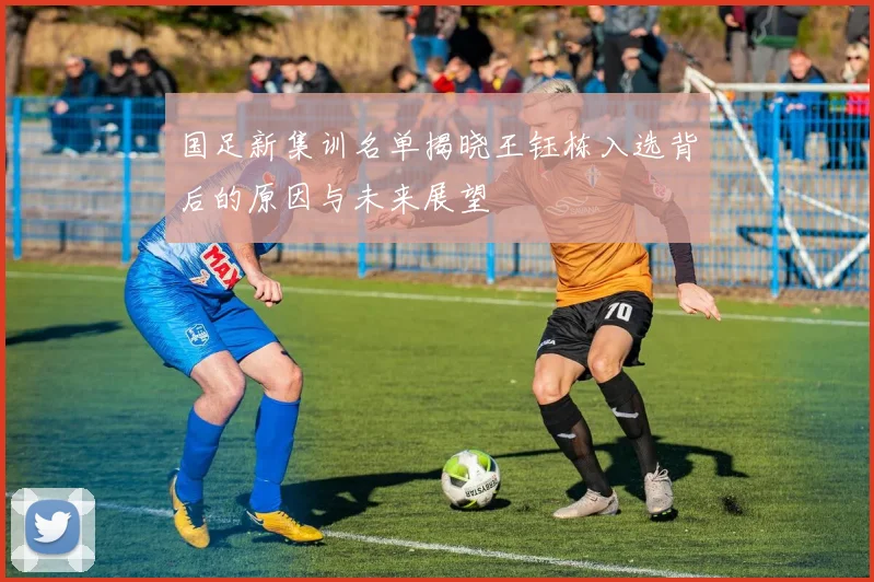 国足新集训名单揭晓王钰栋入选背后的原因与未来展望