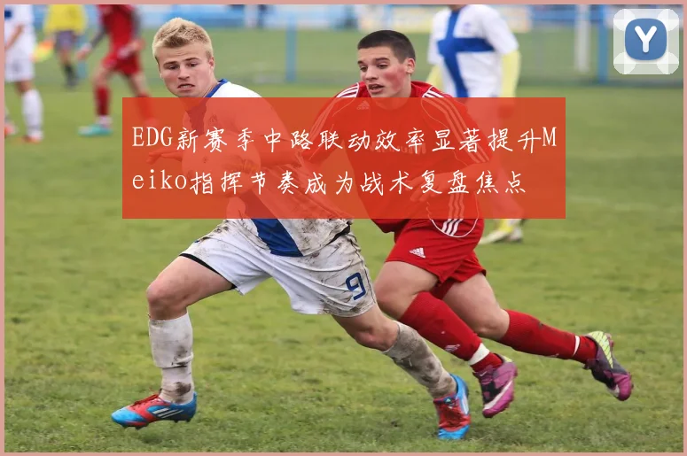 EDG新赛季中路联动效率显著提升Meiko指挥节奏成为战术复盘焦点